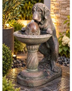 Solar Dog at Fountain Water Feature