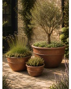 Flora Trio Planters