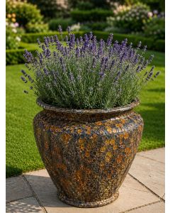 Sienna Jar Planter