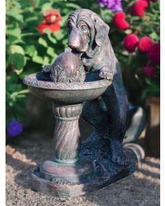 Dog at Fountain Water Feature