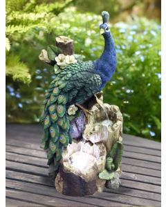 Peacock on Tree Trunk Water Feature