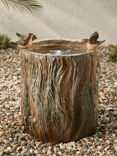 Bird Spring Water Feature