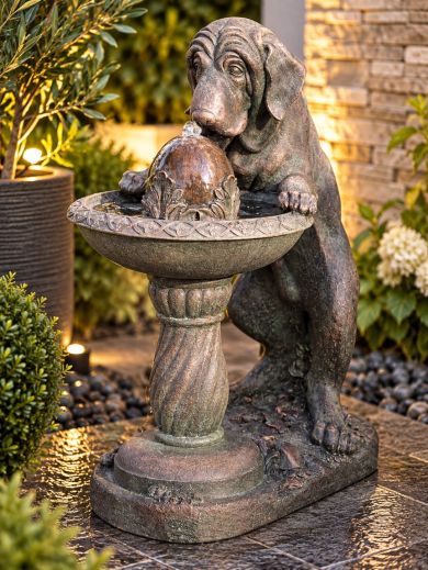 Dog at Fountain Water Feature
