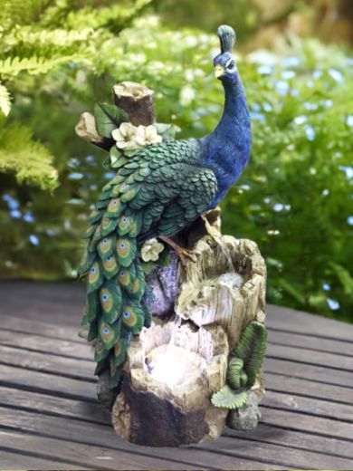 Peacock on Tree Trunk Water Feature