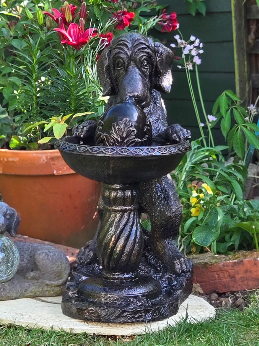 outdoor pet water fountain
