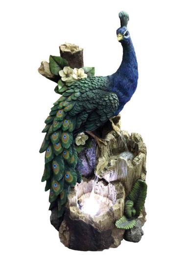 Peacock on Tree Trunk