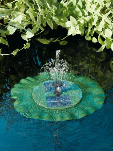 Lily Floating fountain