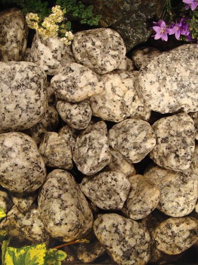 Cornish Silver Cobbles Bulk Bag